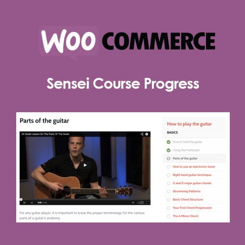 Sensei-Course-Progress.jpg
